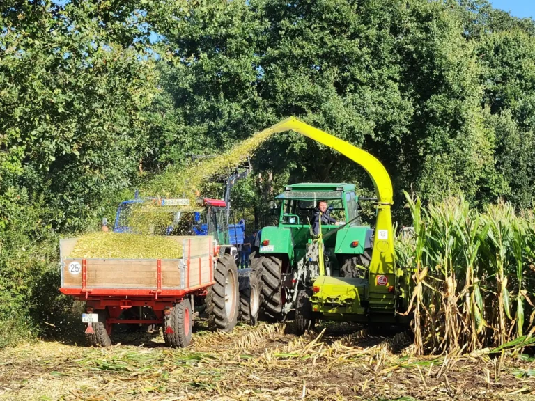 Maishäckseln in Heiden und Rhade am 20.09.2026