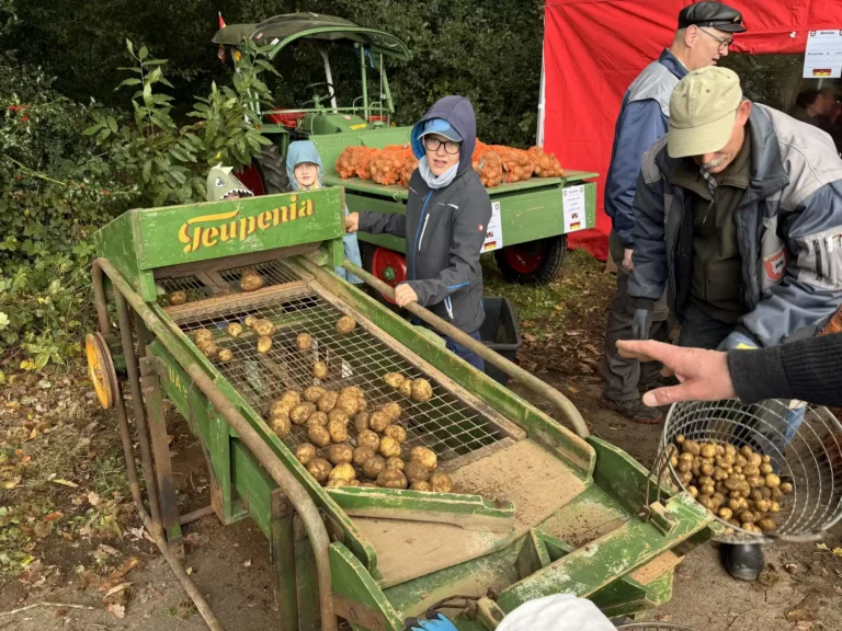 Kartoffelfest am 11.10.2026